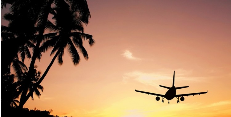 Healthy Travel Tips