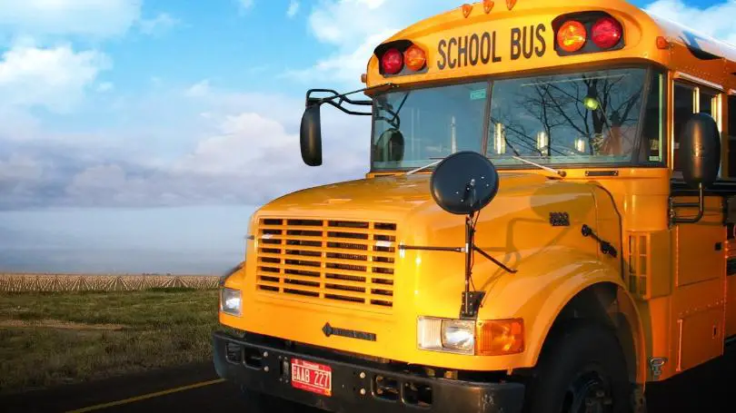 School Bus Safety